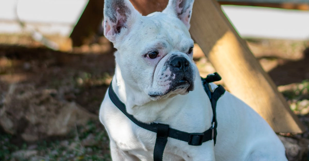 Программы лояльности без депозита в казино для осторожных игроков